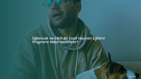 Evcil Hayvan Eğitimi ve Davranış: İyi Bir Sahip Olmanın İpuçları