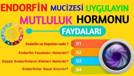 Spor ve Endorfin: Egzersizin Mutluluk Hormonu Üretimini Artırma ve Ruhsal Sağlığı İyileştirme Potansiyeli