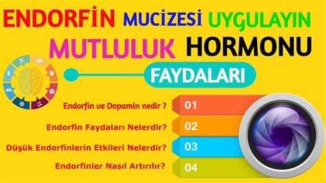 Spor ve Endorfin: Egzersizin Mutluluk Hormonu Üretimini Artırma ve Ruhsal Sağlığı İyileştirme Potansiyeli